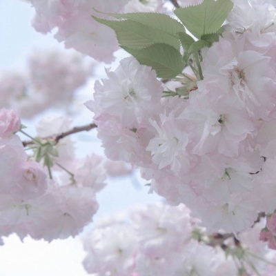 兽设家庭场景设计福瑞交流群